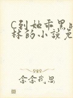 C到她乖黑暗森林的小说免费封面