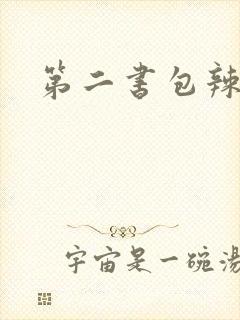 第二书包辣文