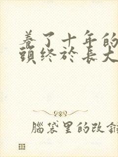 养了十年的小丫头终于长大了
