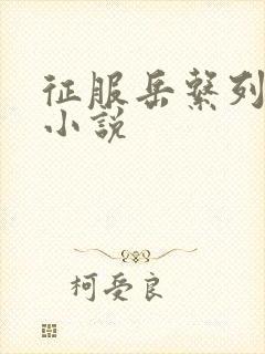 征服岳系列短篇小说封面