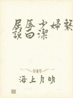 屈辱少妇系列小说白洁封面