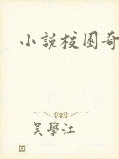 小说校园奇侠