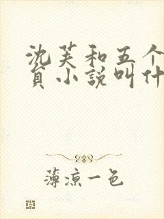 沈芙和五个消防员小说叫什么