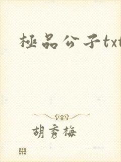 极品公子txt