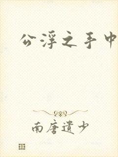 公浮之手中字5