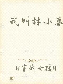 我叫林小喜17