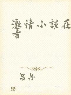 激情小说在线观看