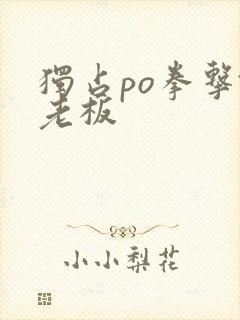 独占po拳击馆老板