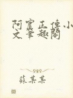 阿宾正传小说全文笔趣阁
