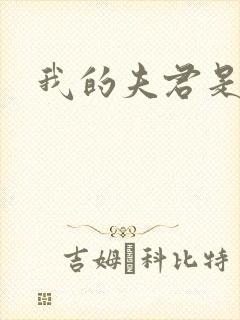 我的夫君是冥王
