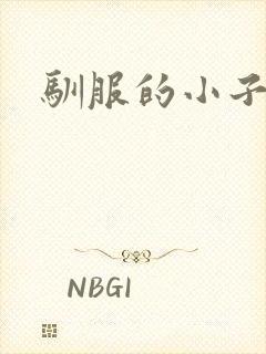 驯服的小子4封面