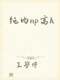 纯肉np高h