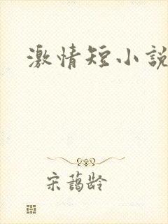 激情短小说封面