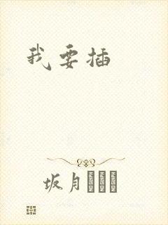 我要插