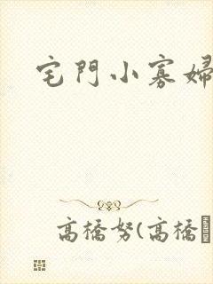 宅门小寡妇