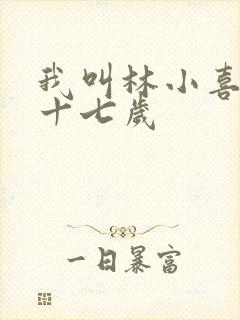 我叫林小喜今年十七岁