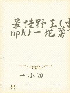 最佳野王(电竞nph)一坨薯饼