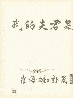 我的夫君是冥王封面