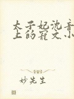 太子妃沈音和皇上的宠文小说