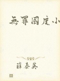 无罪国度小说