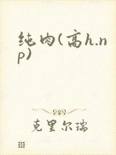 纯肉(高h.np)封面