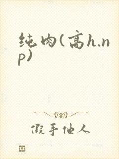 纯肉(高h.np)