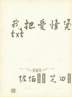 我把爱情煲成汤txt