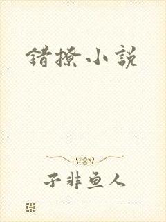 错撩小说
