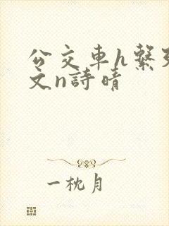 公交车h系列辣文n诗晴