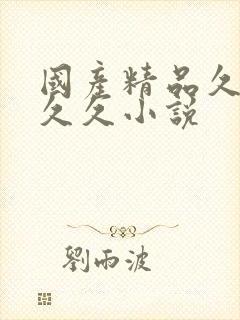 国产精品久久久久久小说