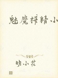 魅魔榨精小说封面