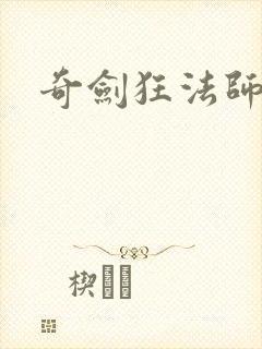 奇剑狂法师封面