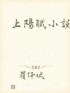 上阳赋小说
