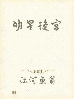 明星后宫封面