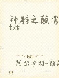 神雕之颠鸾倒凤txt