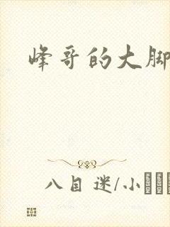 峰哥的大脚
