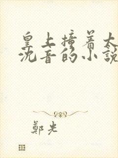 皇上撞着太子妃沈音的小说叫什么