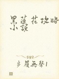 黑莲花攻略手册小说