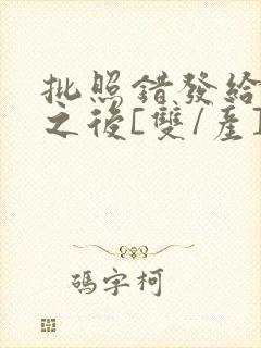 批照错发给情敌之后[双/产]封面