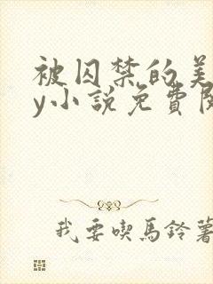 被囚禁的美人by小说免费阅读