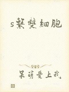s系双细胞