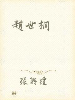 赵世桐封面