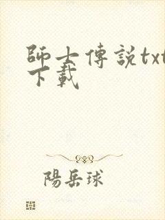 师士传说txt下载