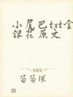 小尾巴txt金银花原文封面
