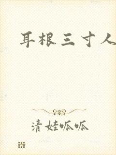 耳根三寸人间