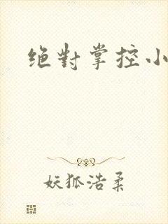 绝对掌控小说