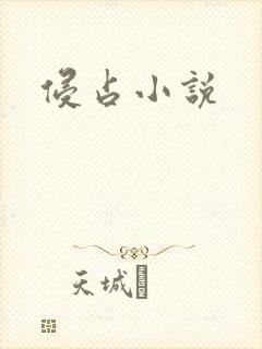 侵占小说