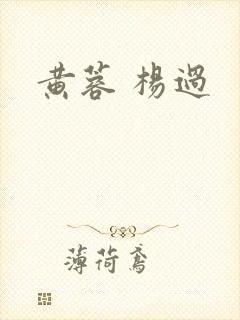 黄蓉 杨过封面