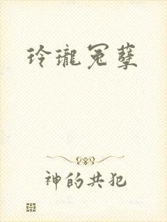 玲珑冤孽封面