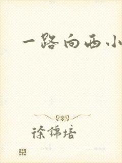 一路向西小说